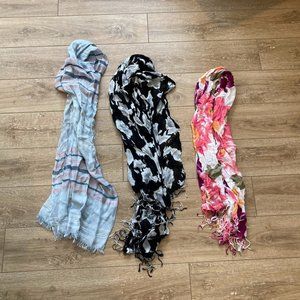 Bundle of (3) LOFT scarves